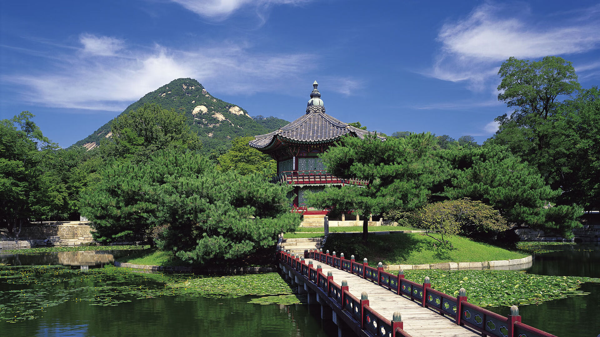 TL官宣新中单选手加盟,ti冠军中单