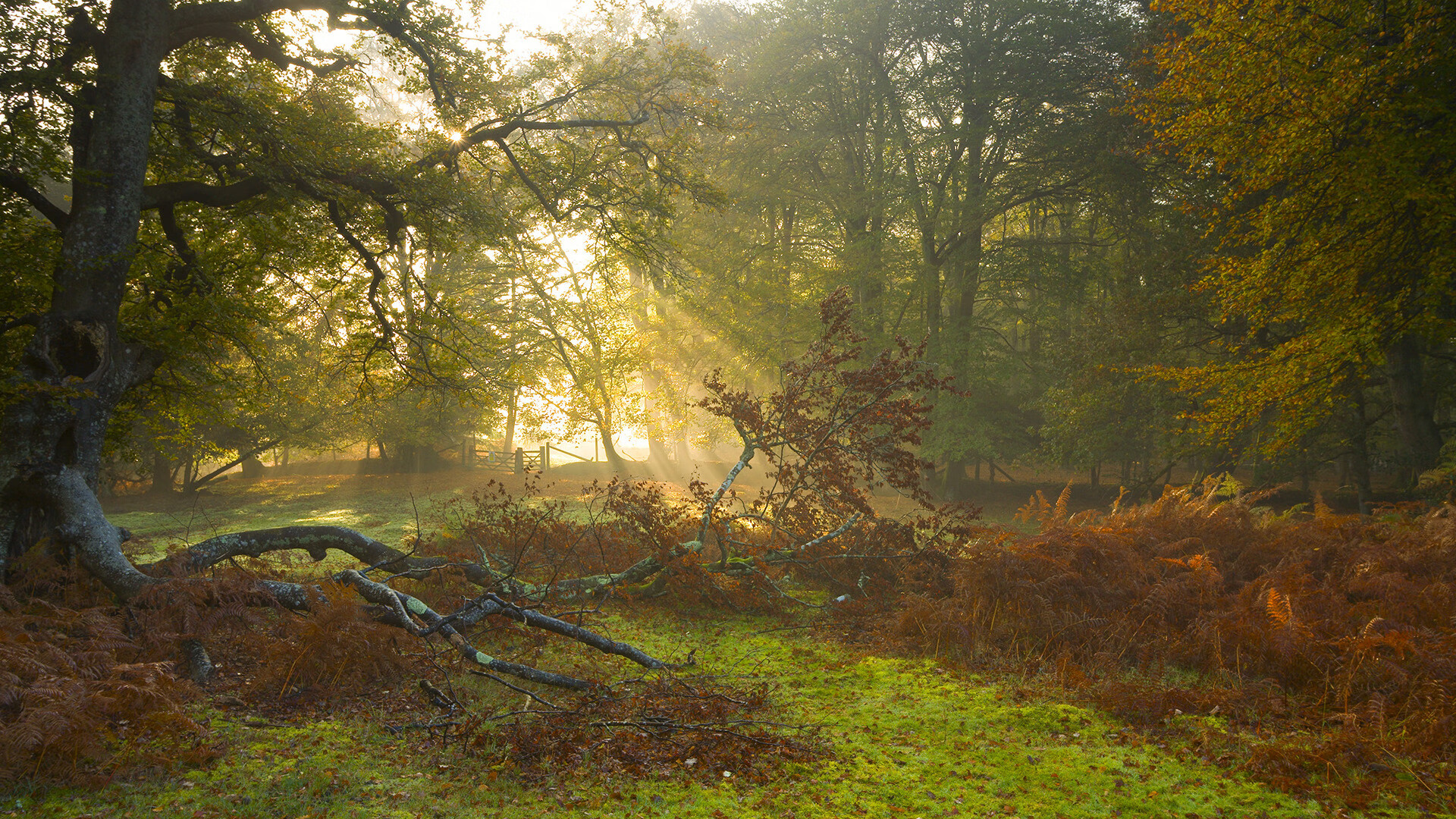 kaiyun-中超球队冬季转会战火热，阵容升级加速，中超冬季引援