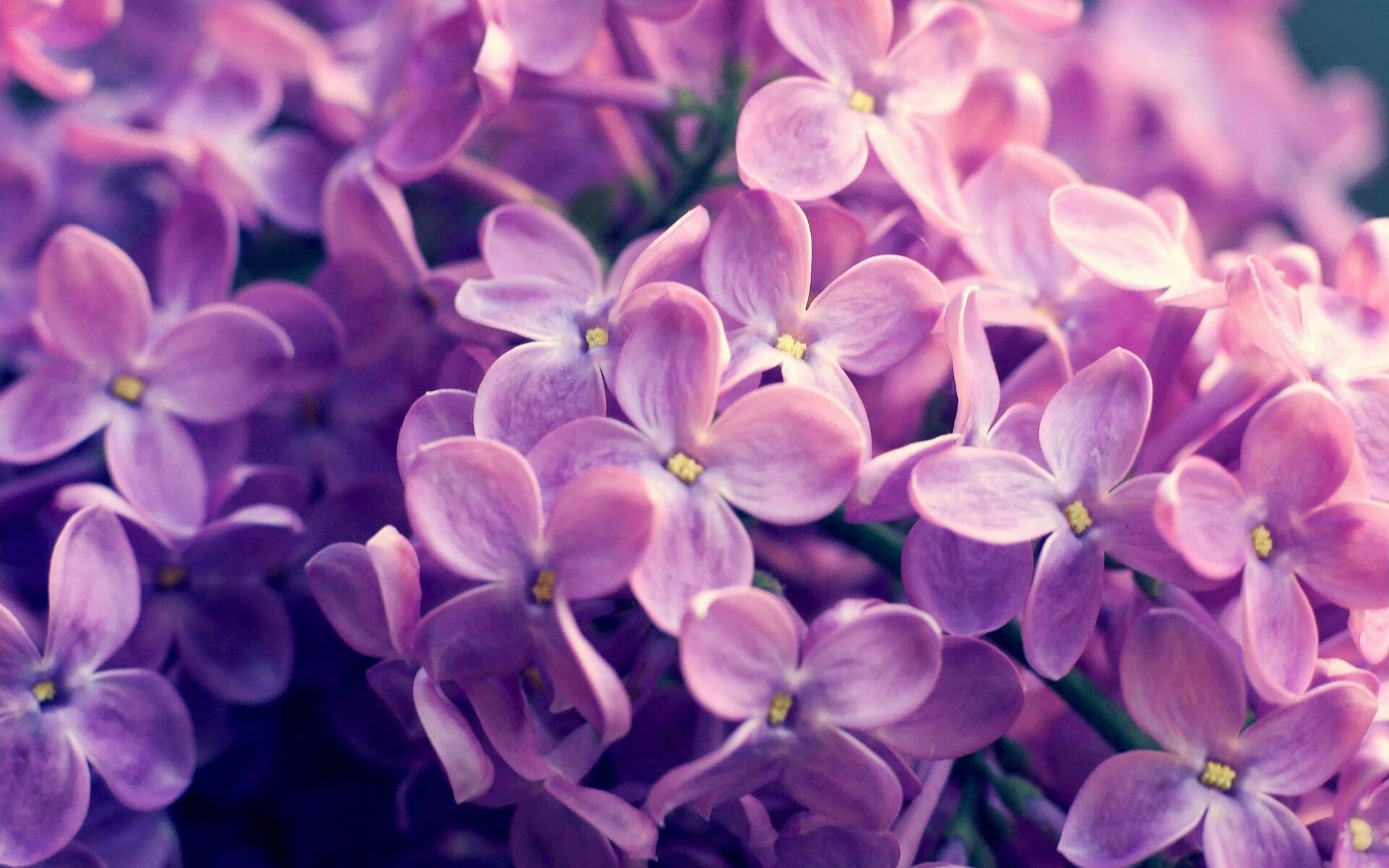 开云体育官方网站-中国足球投资环境逐渐优化，吸引更多资本，中国足球投入了多少钱