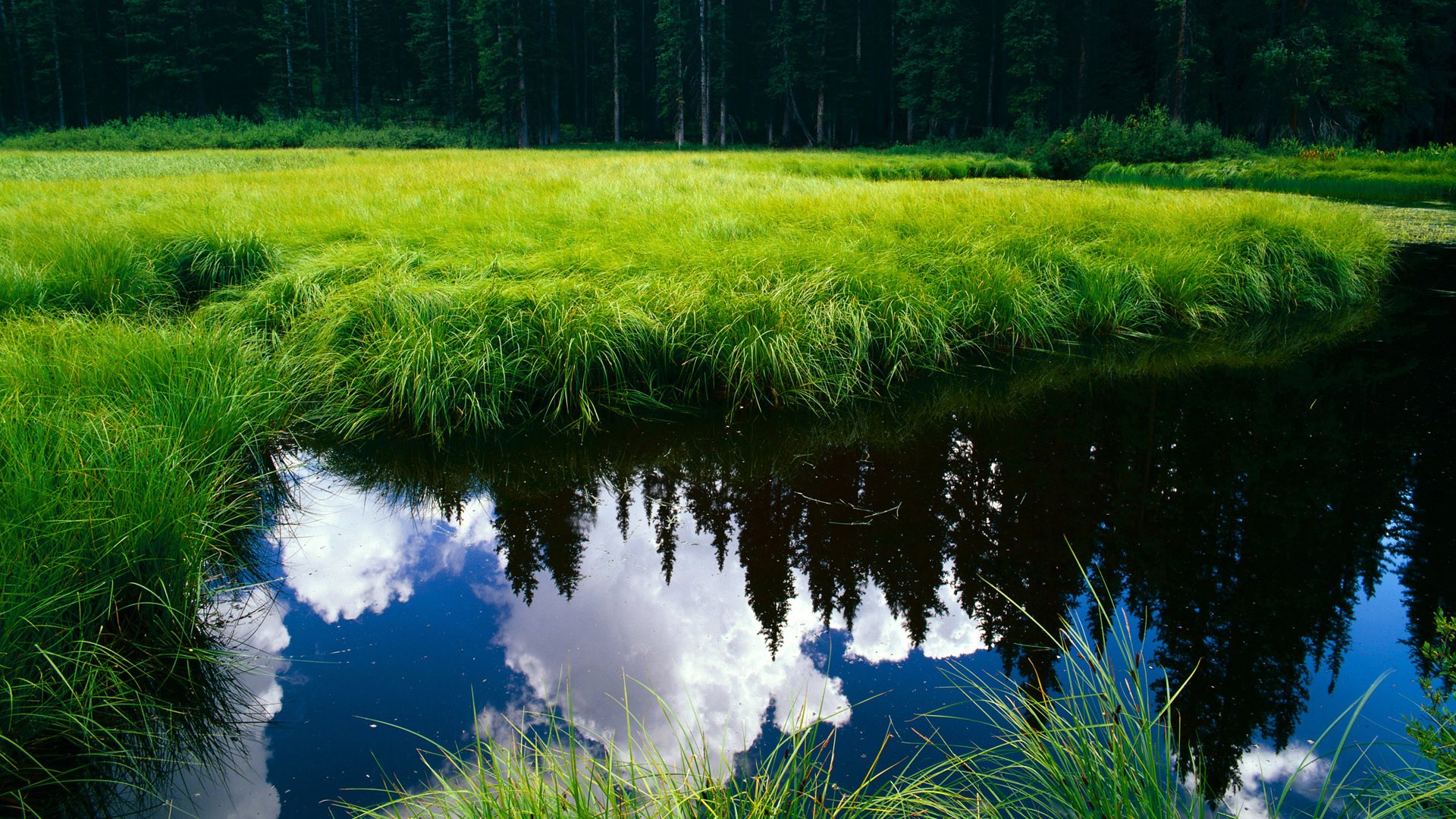 开云娱乐app安全登录-柏林柏林联队客场告捷，取得连胜势头，柏林联合战绩