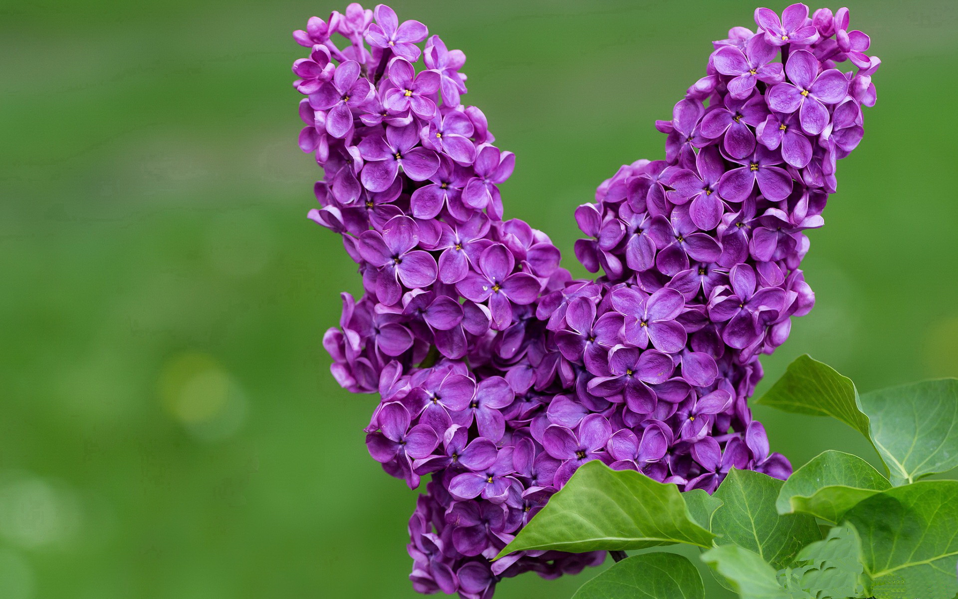 电竞城市建设提速,吸引众多电竞企业,电竞产业市场