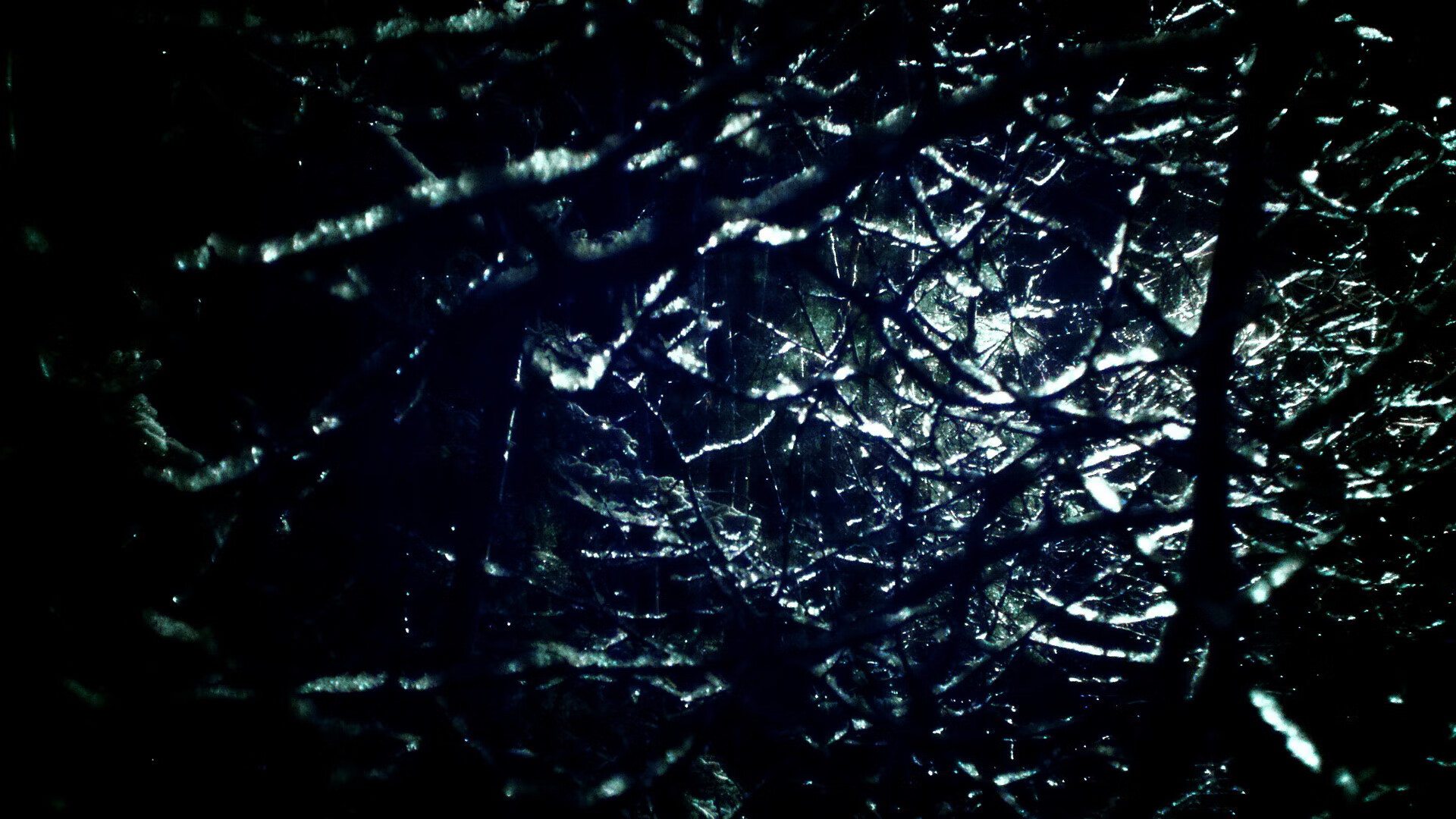 开云投注-美国CS_GO战队备战Copenhagen Major，美国csgo选手