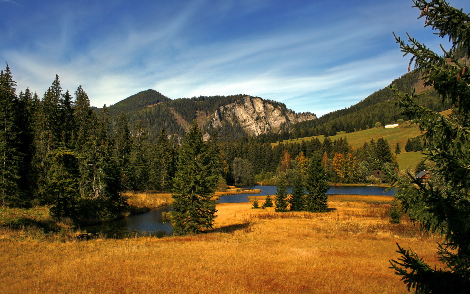开云体育客户端-迈阿密国际中场核心伤愈复出，助力球队冲击冠军，国际迈阿密队球员