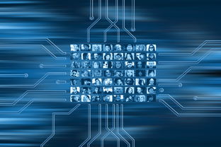 开云网页版-NBA球队市场营销数字化转型实践探索，nba营销模式