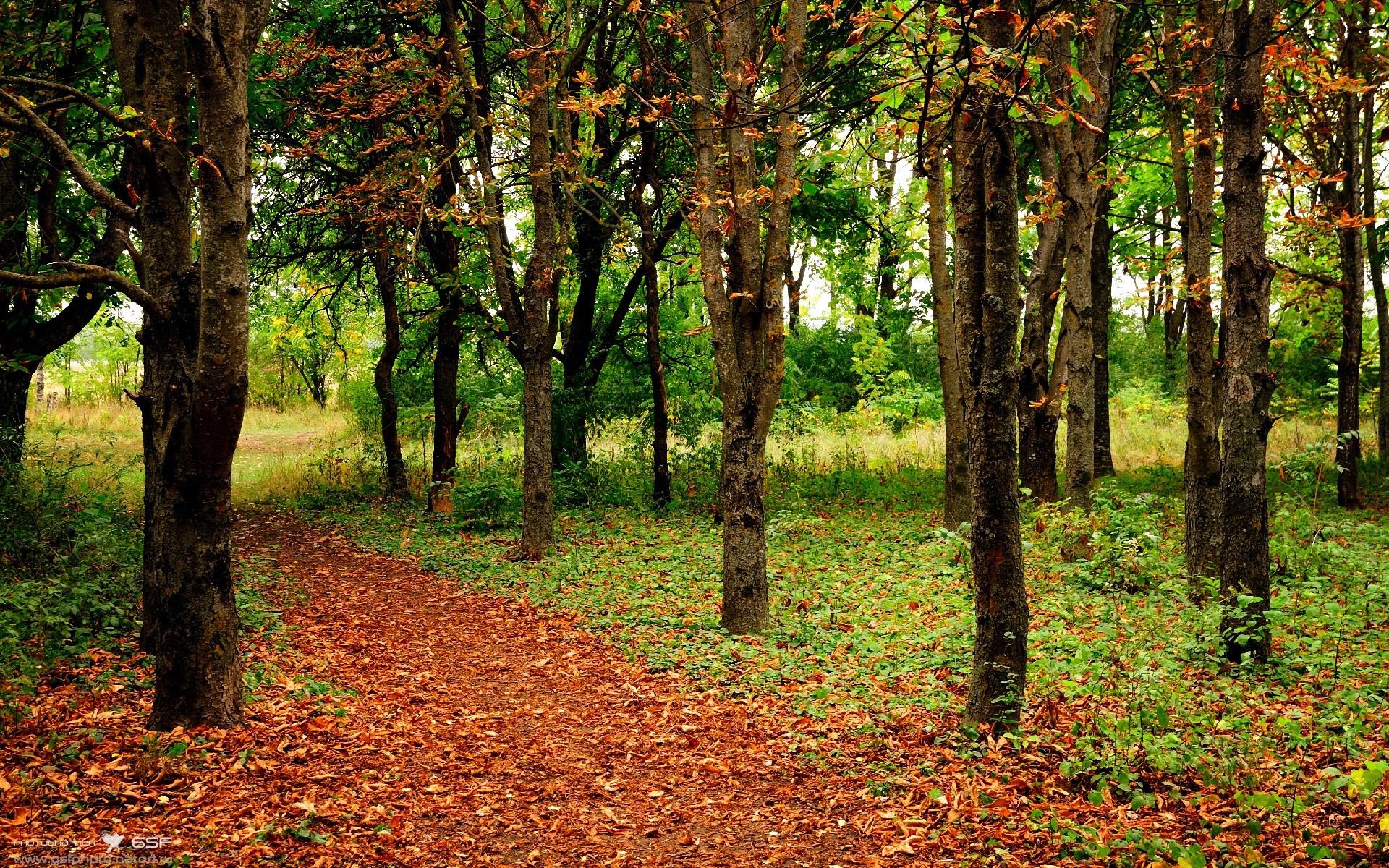开云体育手机版-阿根廷青年新星崭露头角，国家队未来可期